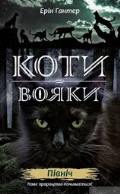 koty_1_2