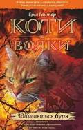 koty_4